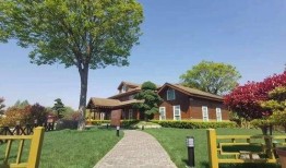 常州航空爆料最新消息查询,揭秘神秘航线与全新机型首航计划